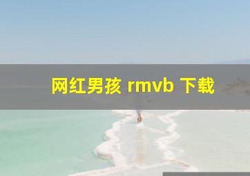 网红男孩 rmvb 下载